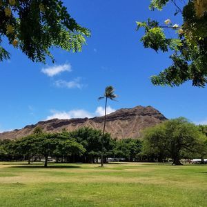 Meet your Posher, chelley